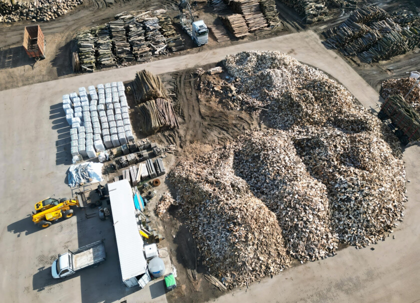 Akacja - drewno kominkowe #4
