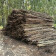 DrewKom - Kiszka faszynowa Wiklinowa fi20cm – 1mb