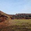 Faszyna wiklinowa luzem (pakunek) – 1MP #4