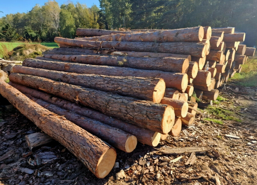 Kłoda 5/6m #4