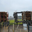 Kłoda 5/6m #7