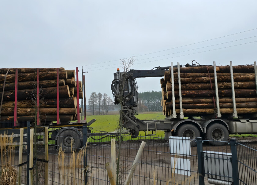 Kłoda 5/6m #7