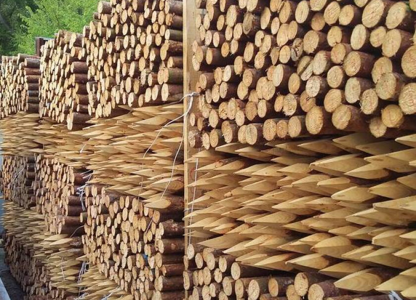 Palik sosnowy L=1,8 m, fi 7-9 cm #1