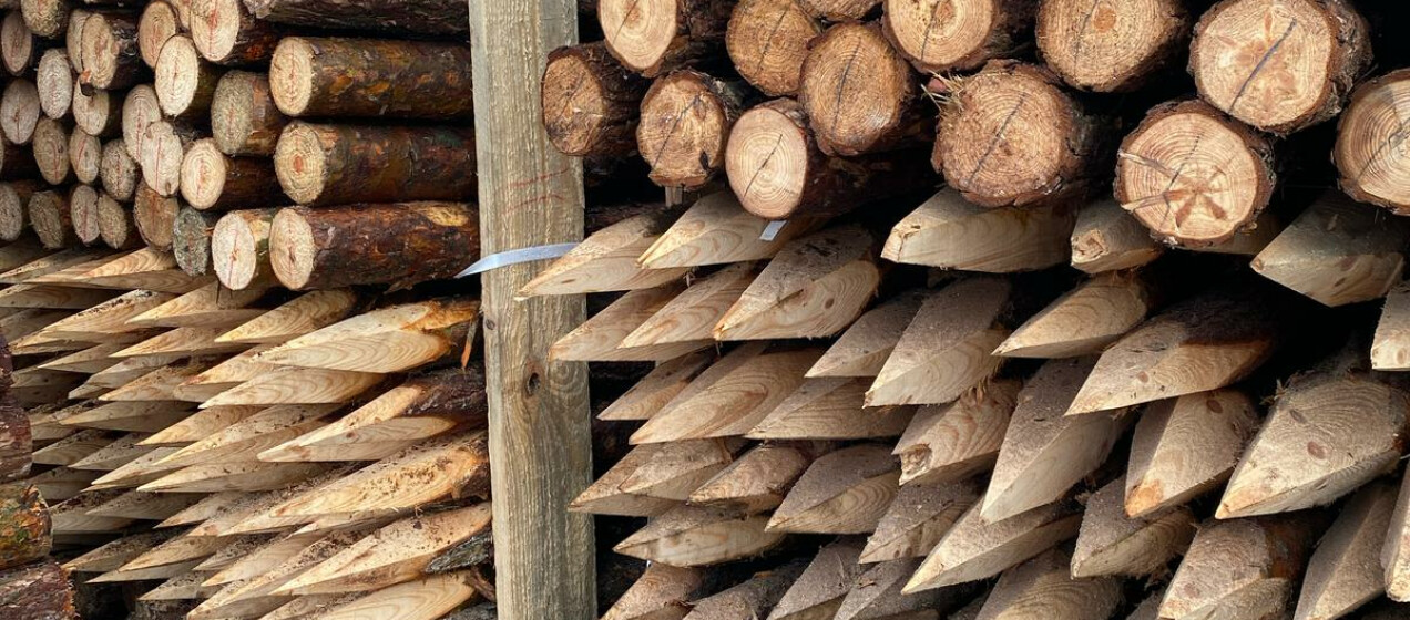 DrewKom - Paliki melioracyjne – niezawodne wsparcie w ogrodzie, sadzie i melioracji