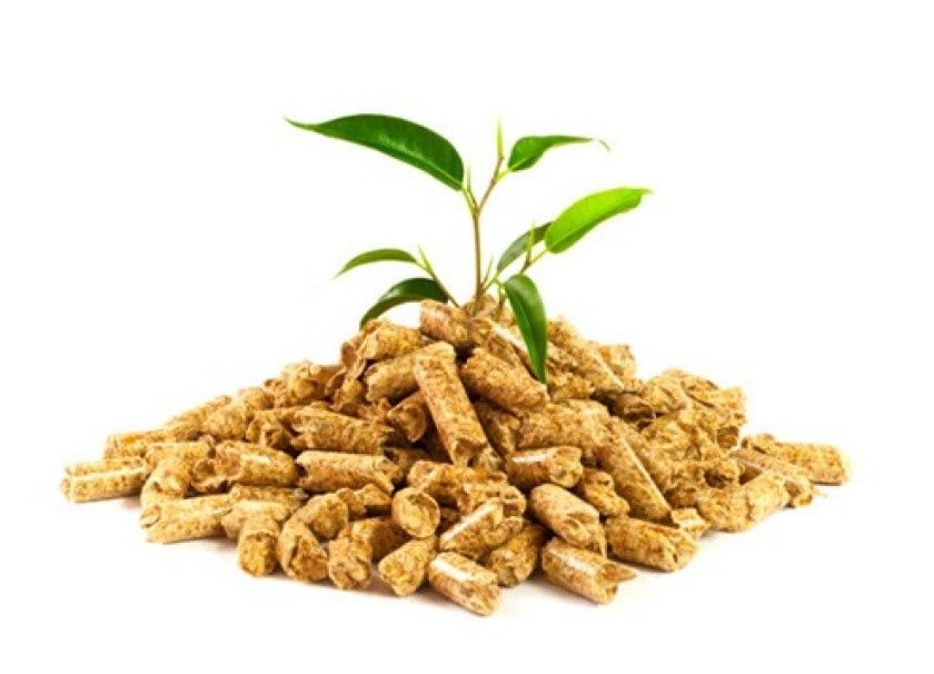 Pellet LAVA– paleta #3