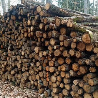 DrewKom - Słupki ogrodzeniowe - dąb