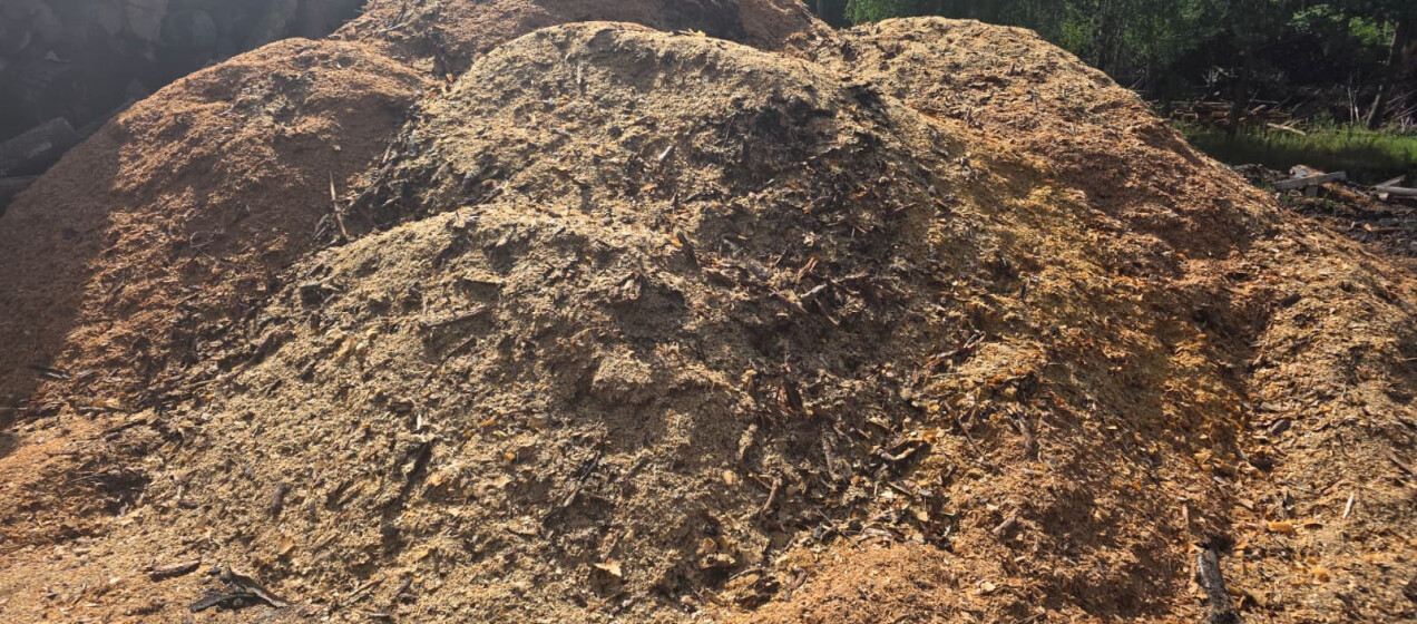 DrewKom - Biomasa drzewna -  zrębka i trocina jako paliwo przyszłości