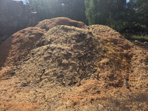 DrewKom - Biomasa drzewna -  zrębka i trocina jako paliwo przyszłości